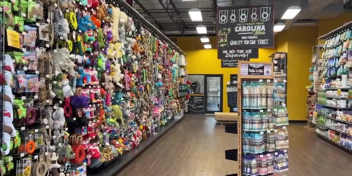 New pet store sees success ahead of formal Tyler opening New pet store sees success ahead of formal Tyler opening