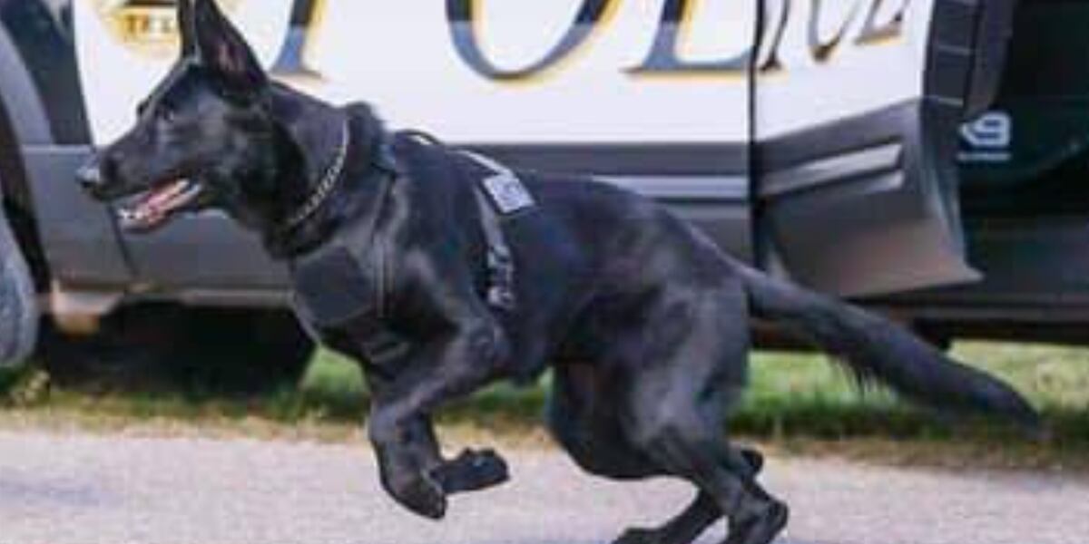 K9 Rambo East Texas K9 Officer Rambo receives new body armor