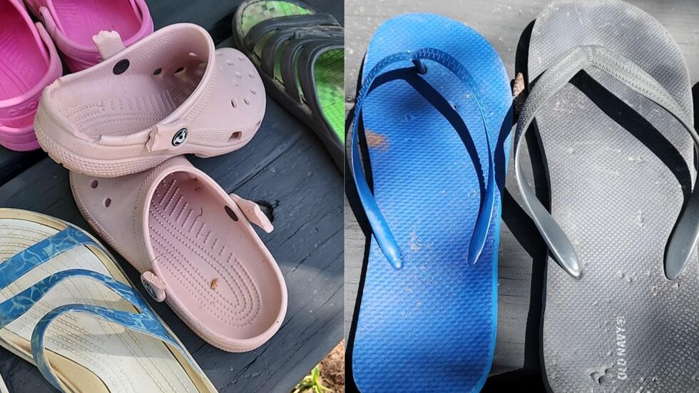 Foxes accused of stealing Crocs, sandals from campers after many pairs ...