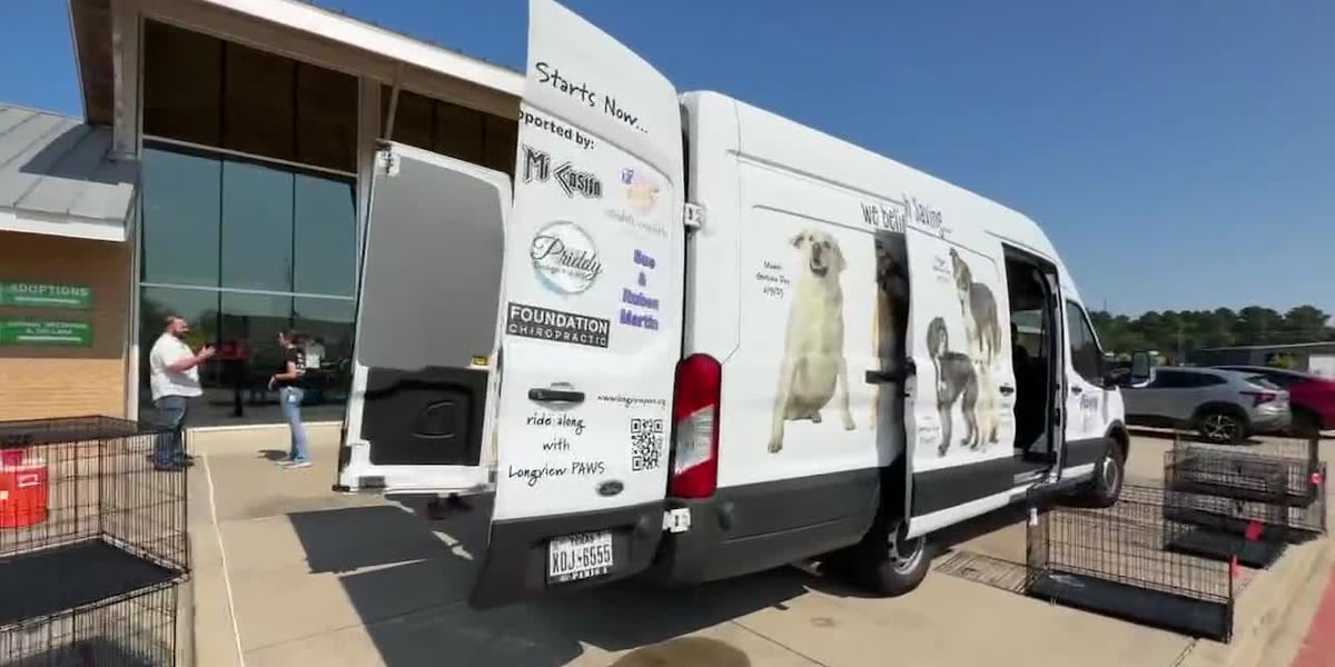 Longview animal shelter works with partner agencies for interstate adoption program Longview animal shelter works with partner agencies for interstate adoption program