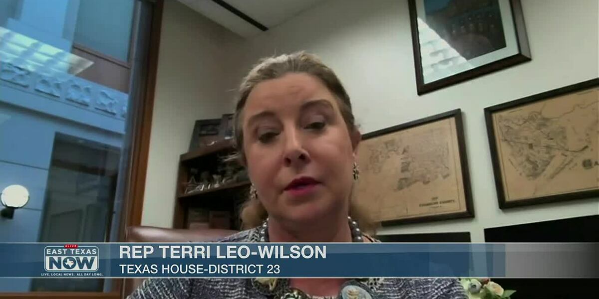 State Rep. Terri Leo-Wilson discusses bill regarding special needs ...