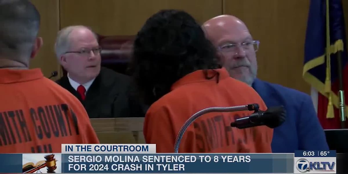 Tyler Felo Tyler man pleads guilty to fleeing police, aggravated assault
