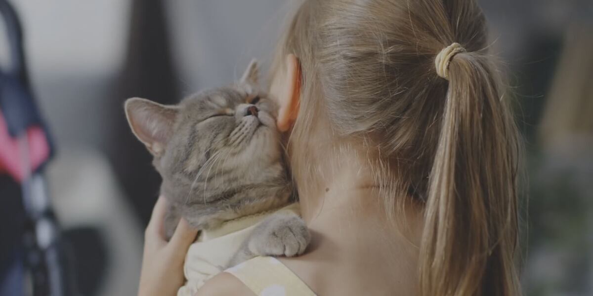 How to balance pets on a budget How to balance pets on a budget