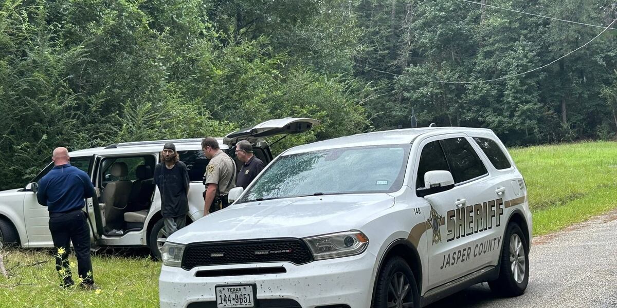 Assault News Image