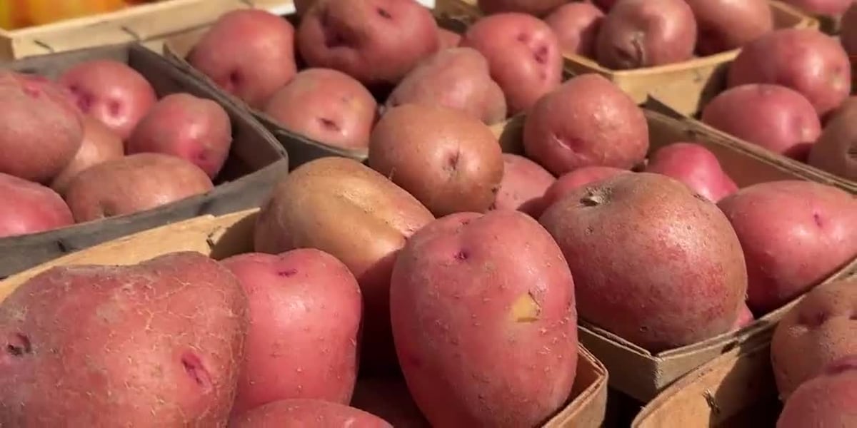 ‘Pretty much on track’: Historic Longview Farmers Market busy after good growing season
