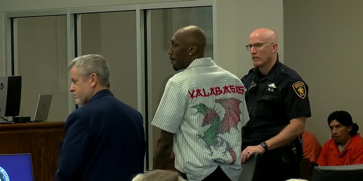 Man ordered to pay over $84K after pleading guilty in multi-state Lego theft ring
