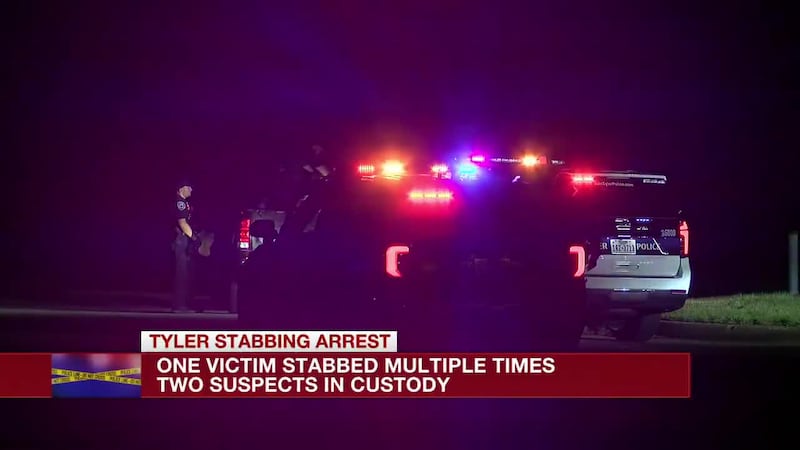 11-year-old dies in go-kart crash